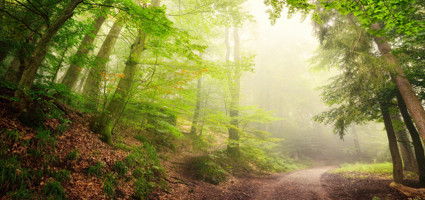 Menschsein heißt... 