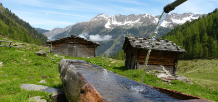 In jedem Menschen...