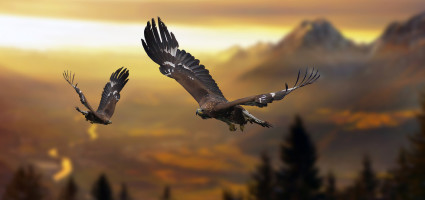 Die Intention ist unser,